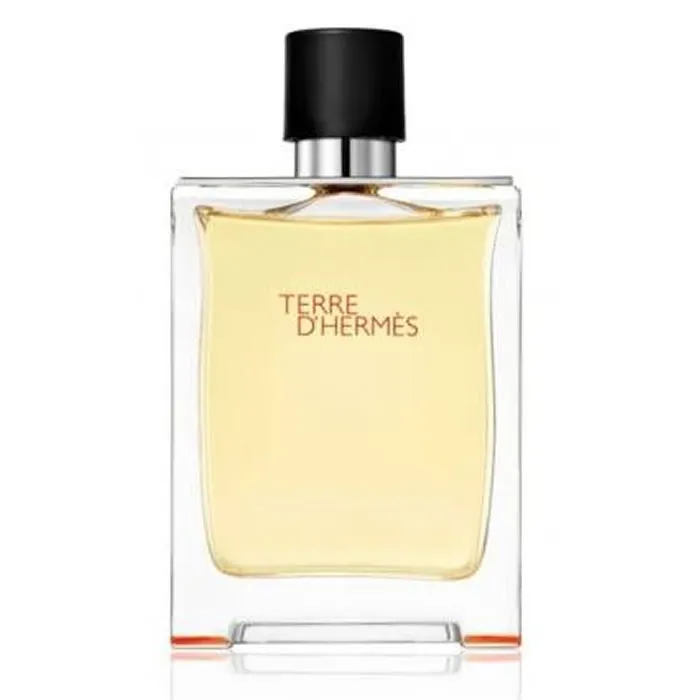 Hermès Terre d'Hermès Eau de Toilette Spray 50ml - Image 2